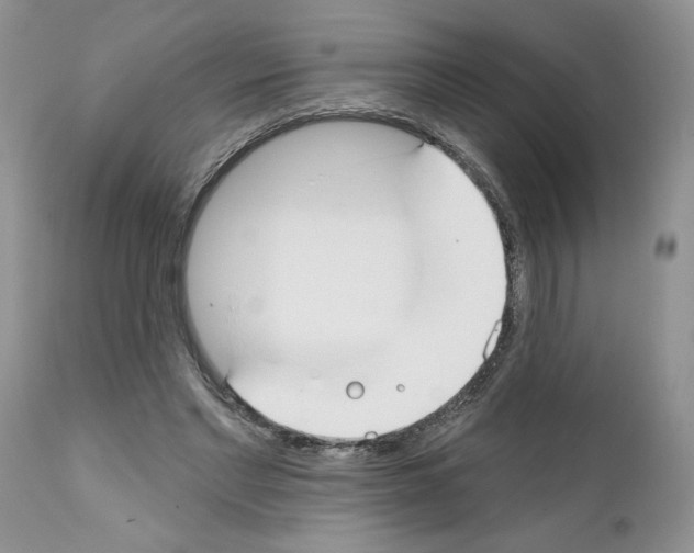 X0000111670493200908281115