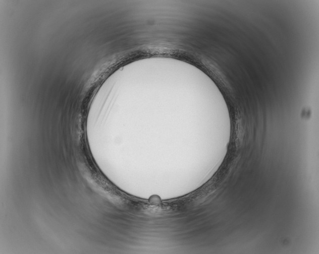 X0000111670494200908281115