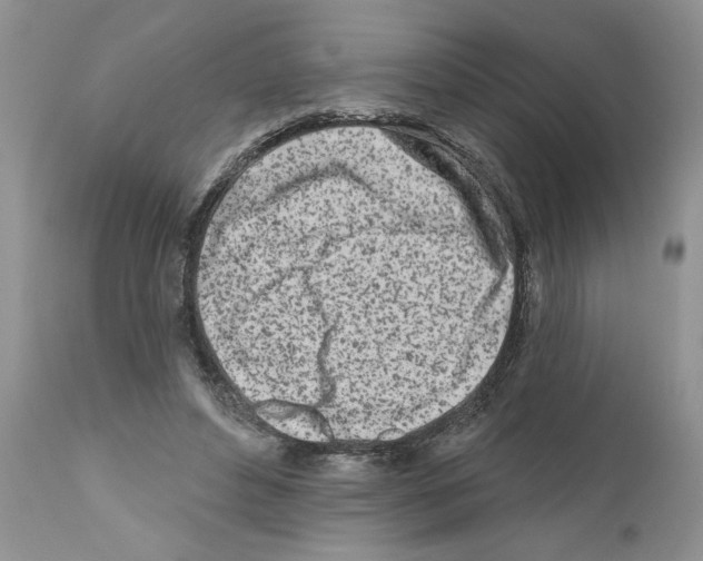 X0000111670496200908281115