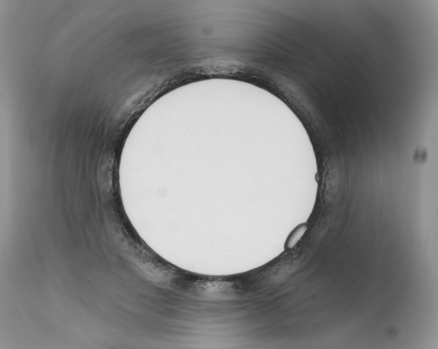 X0000111670501200908281114