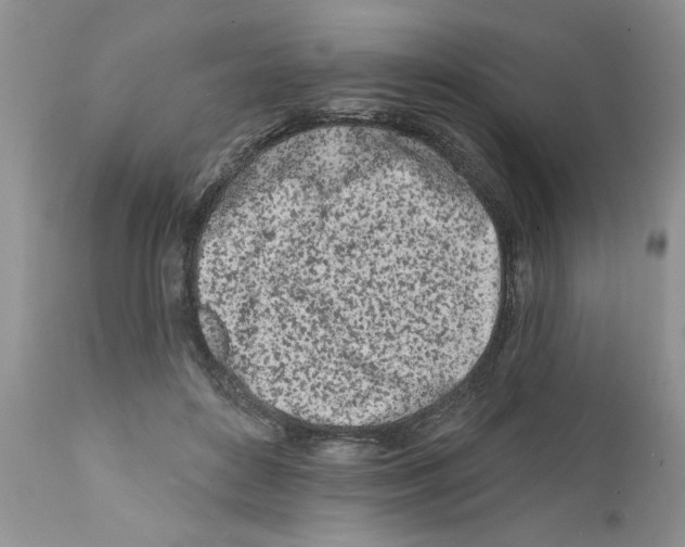 X0000111670504200908281114