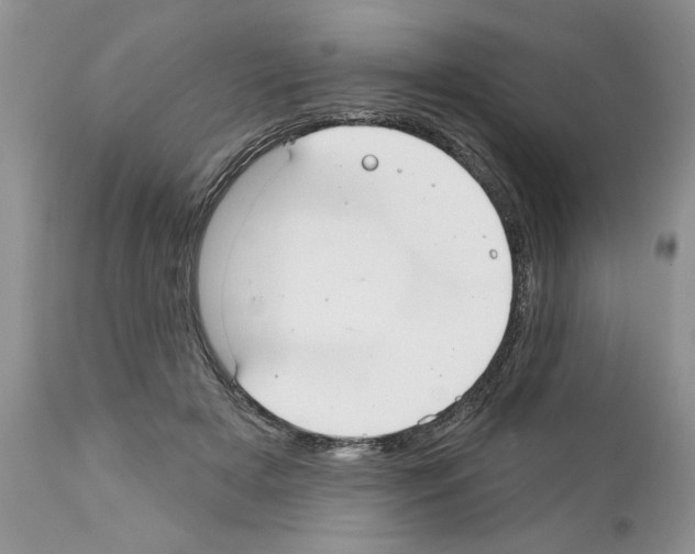 X0000111670505200908281114