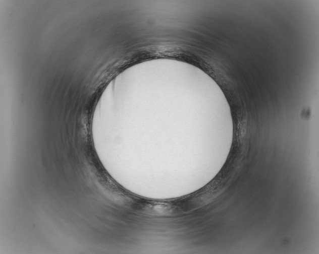 X0000111670506200908281114