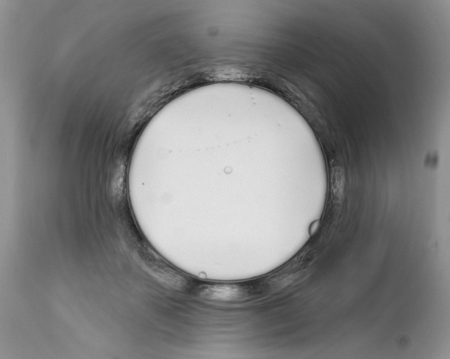 X0000111670507200908281114