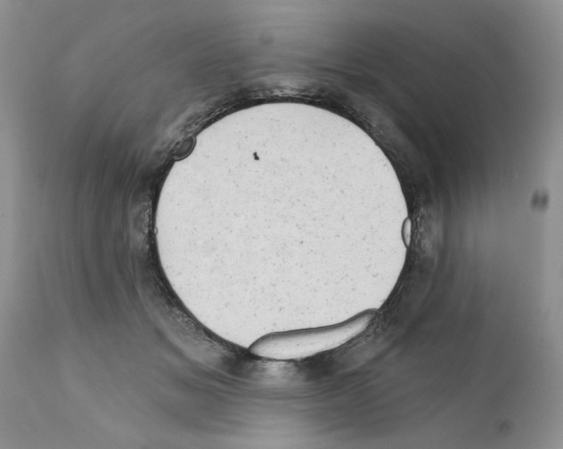 X0000111670509200908281114