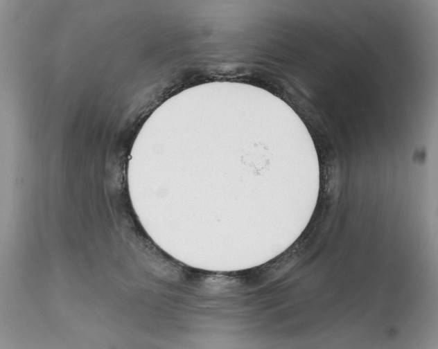 X0000111670515200908281114