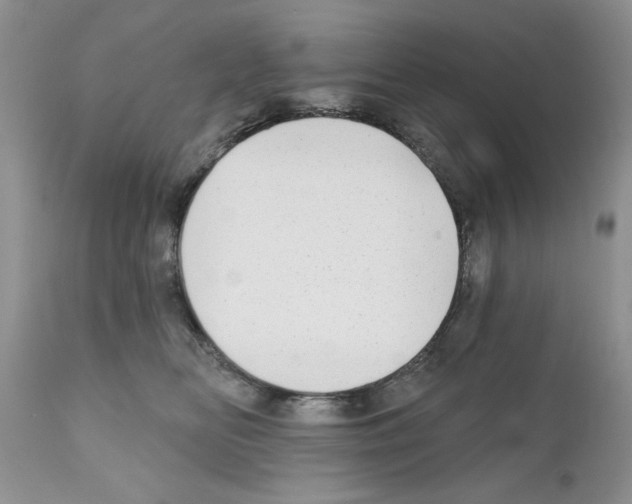 X0000111670518200908281114