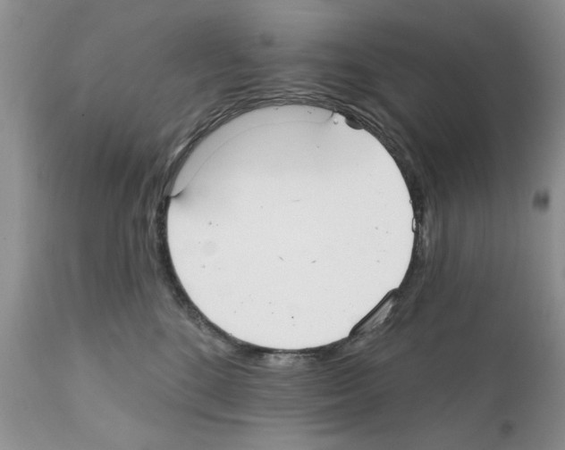 X0000111670520200908281114