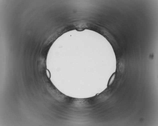 X0000111670521200908281114