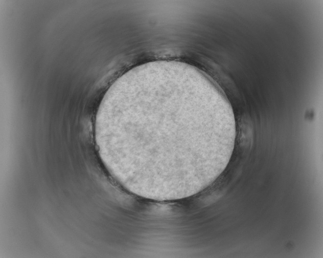 X0000111670523200908281114