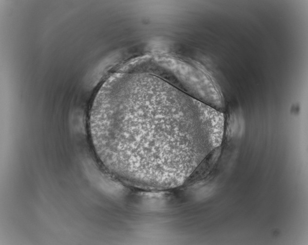 X0000111670524200908281114