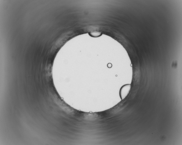 X0000111670525200908281114