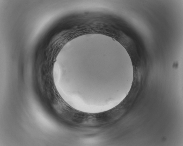 X0000111670526200908281114