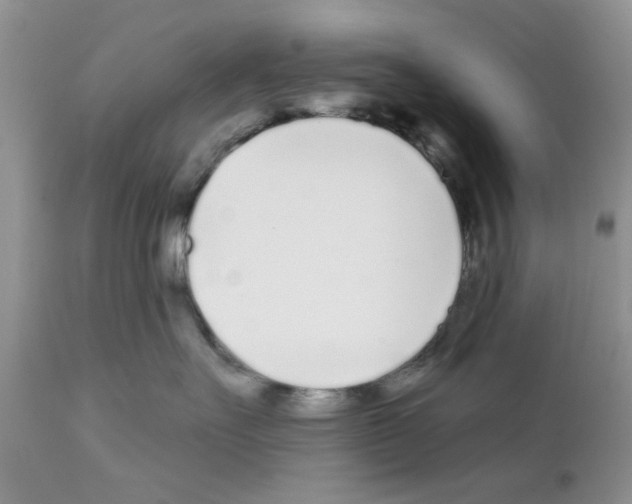 X0000111670527200908281114