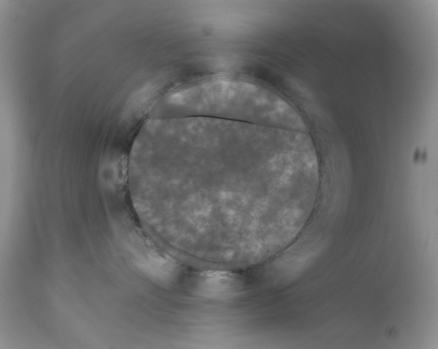 X0000111670528200908281114