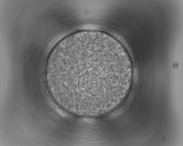 X0000111670529200908281113