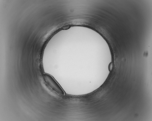 X0000111670530200908281113