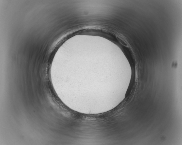 X0000111670531200908281113