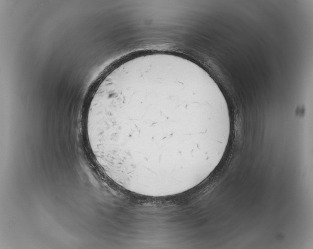 X0000111670532200908281113