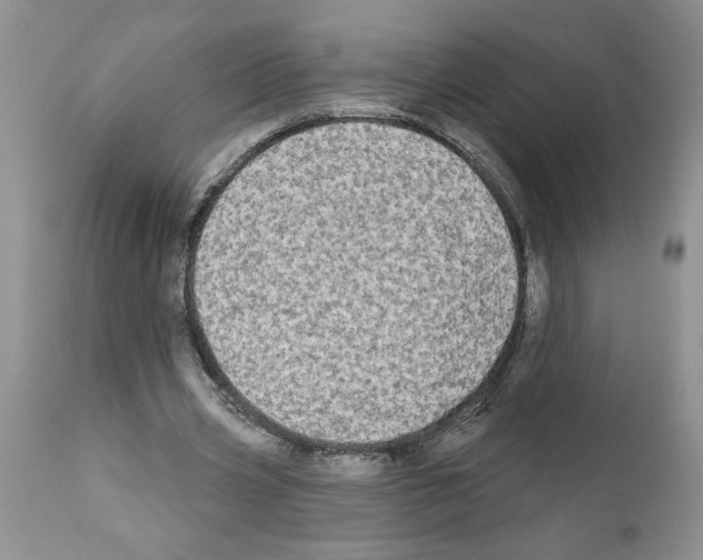 X0000111670533200908281113