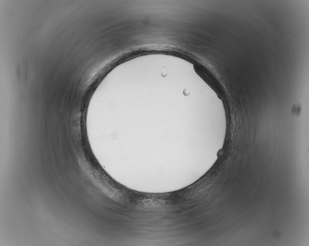 X0000111670535200908281113