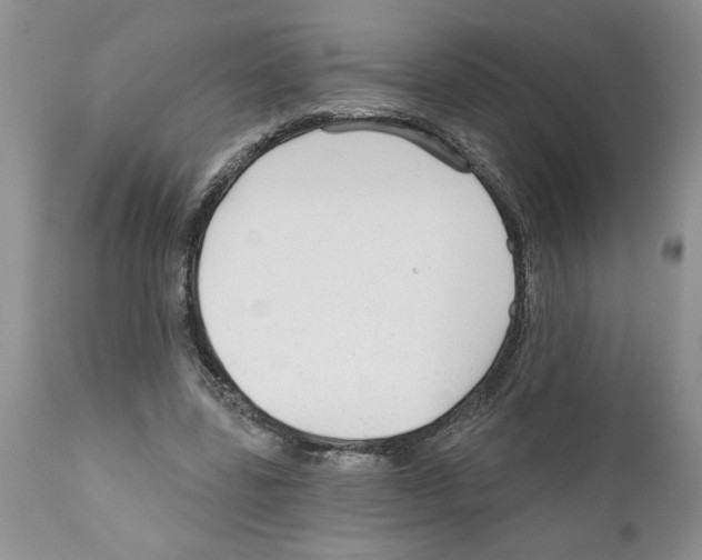 X0000111670539200908281113