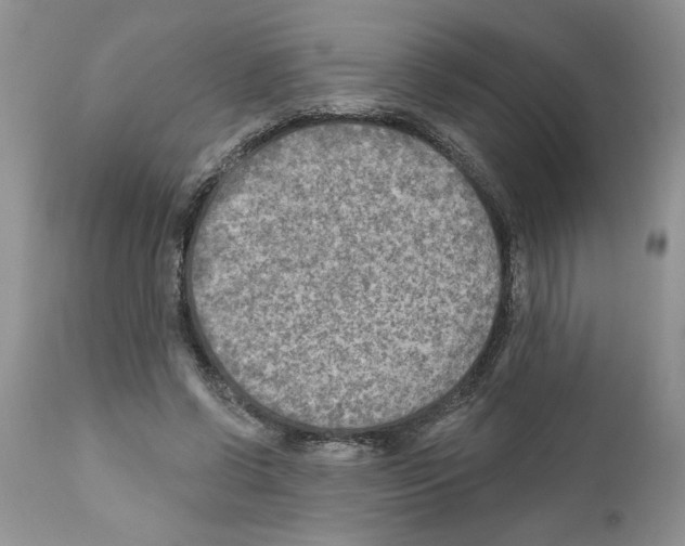 X0000111670542200908281113