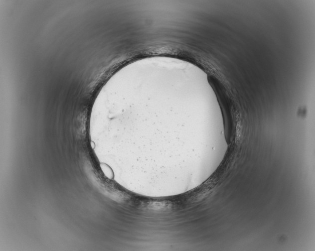 X0000111670546200908281114