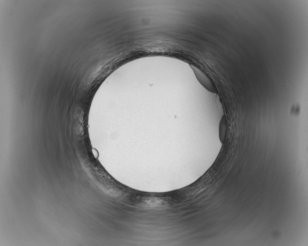 X0000111670547200908281114