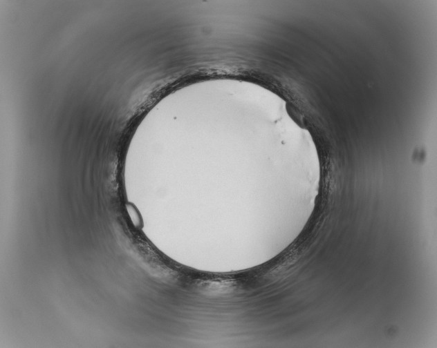 X0000111670548200908281114