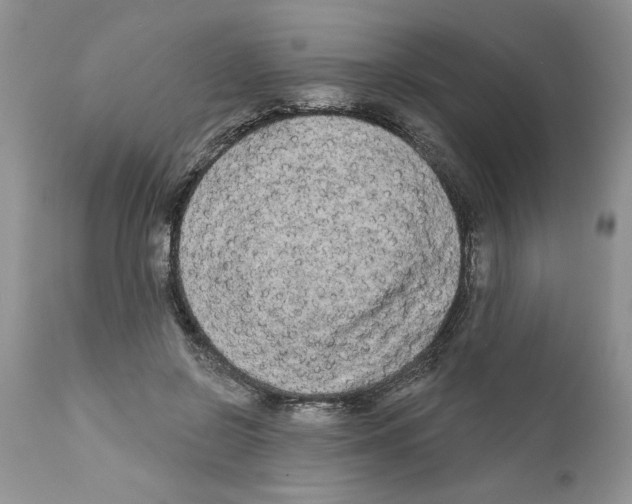 X0000111670550200908281114