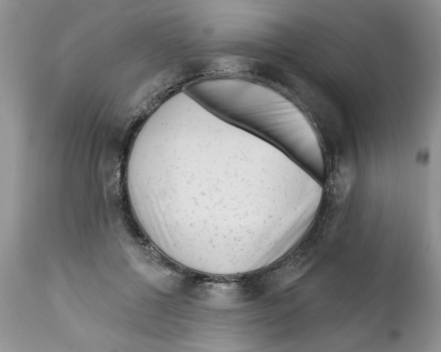 X0000111670552200908281114