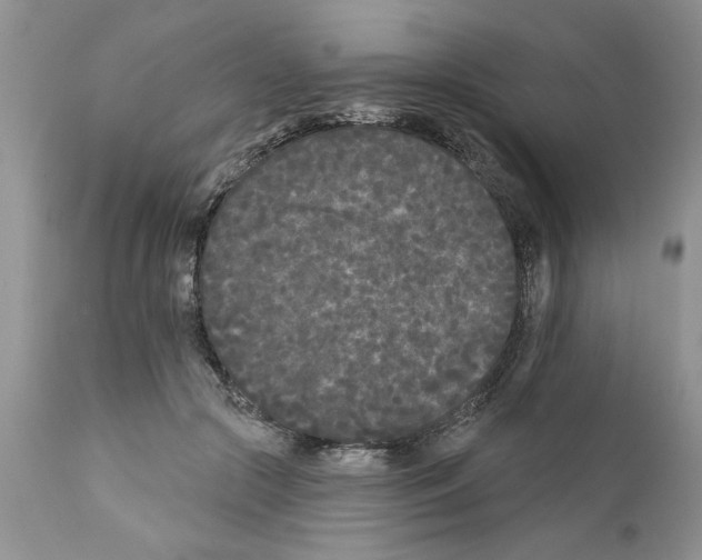 X0000111670553200908281114