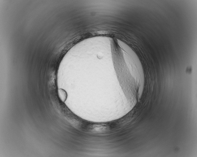 X0000111670555200908281114