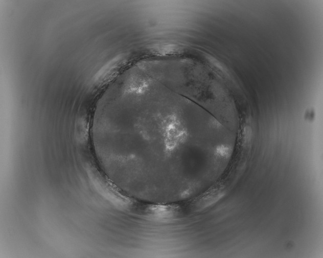 X0000111670558200908281114