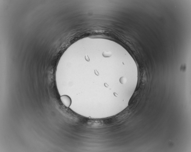 X0000111670559200908281114