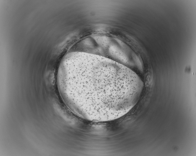 X0000111670560200908281114