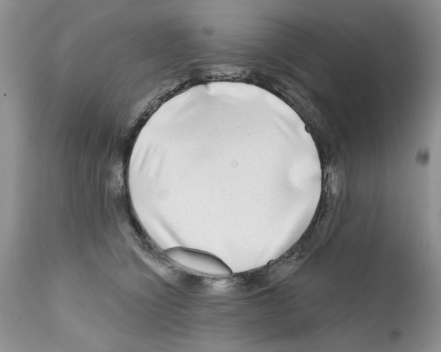 X0000111670564200908281114