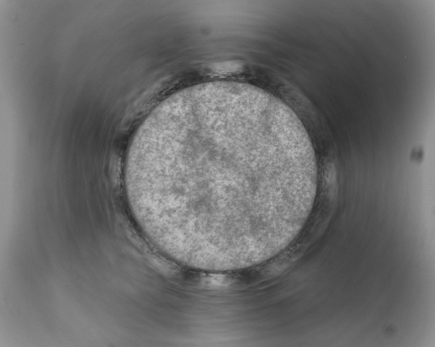 X0000111670565200908281114