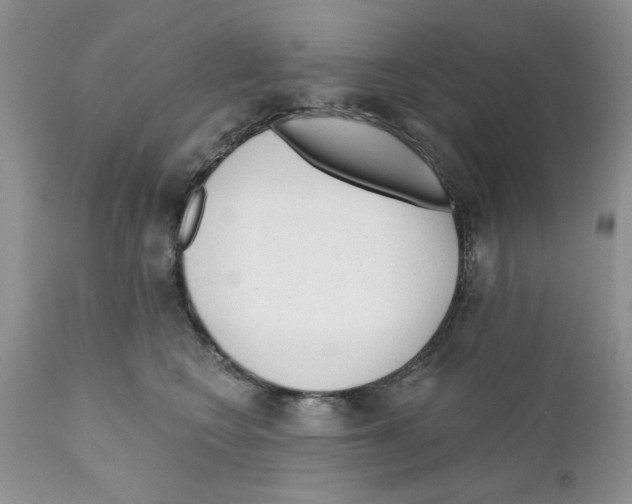 X0000111670566200908281114