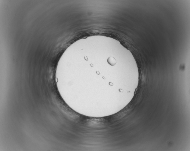 X0000111670567200908281114