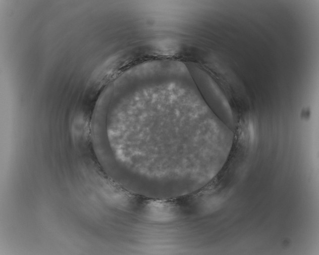 X0000111670568200908281114