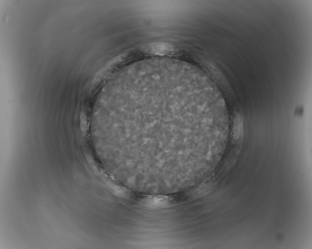 X0000111670569200908281114