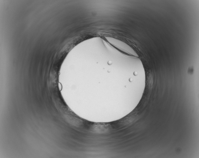 X0000111670571200908281114