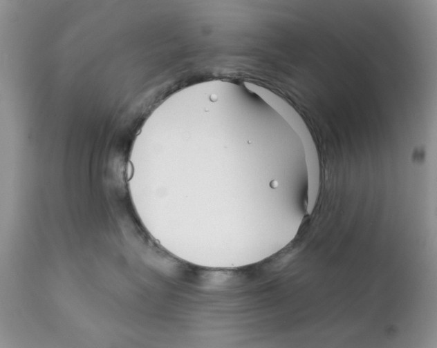 X0000111670575200908281114