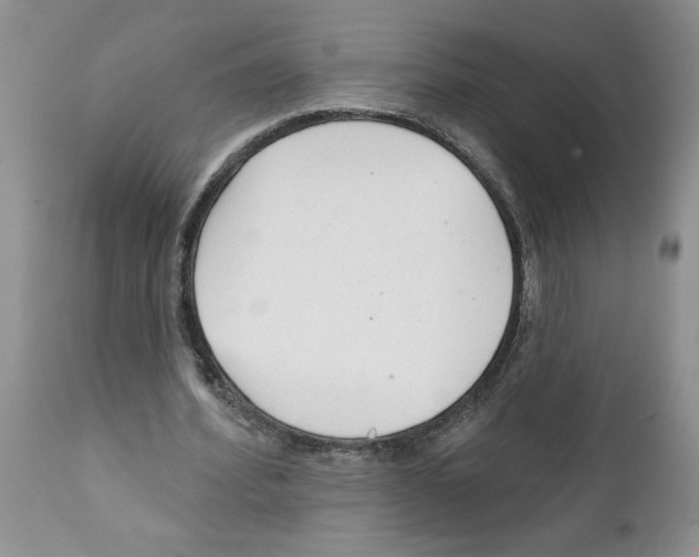 X0000111670580200908281113