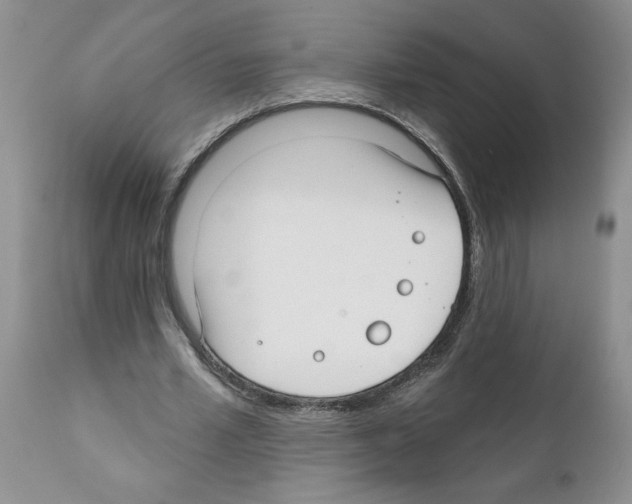 X0000111670581200908281113