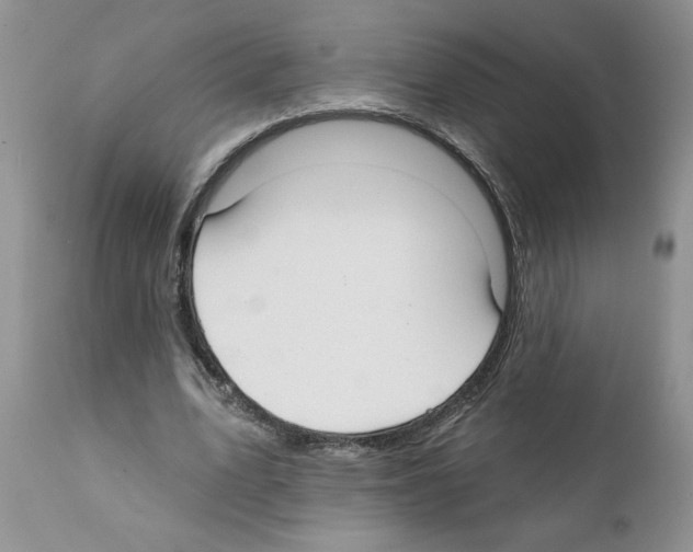 X0000111670583200908281113