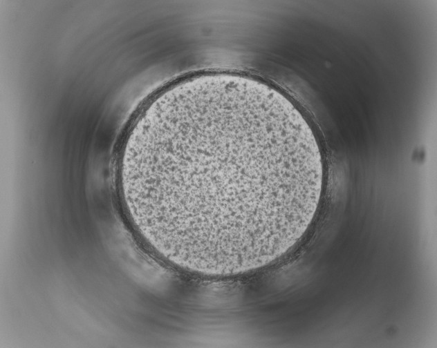 X0000111670584200908281113