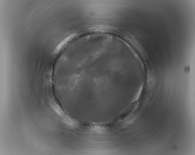 X0000111670585200908281113